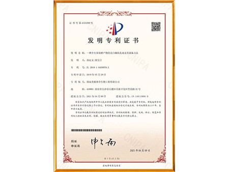 一种含大米发酵产物的美白嫩肤乳液及其制备方法